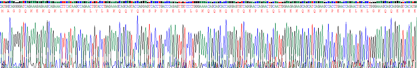 Recombinant Involucrin (INV)