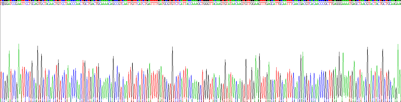 Recombinant Cluster of Differentiation 59 (CD59)