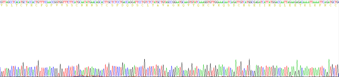 Recombinant Cluster of Differentiation 59 (CD59)