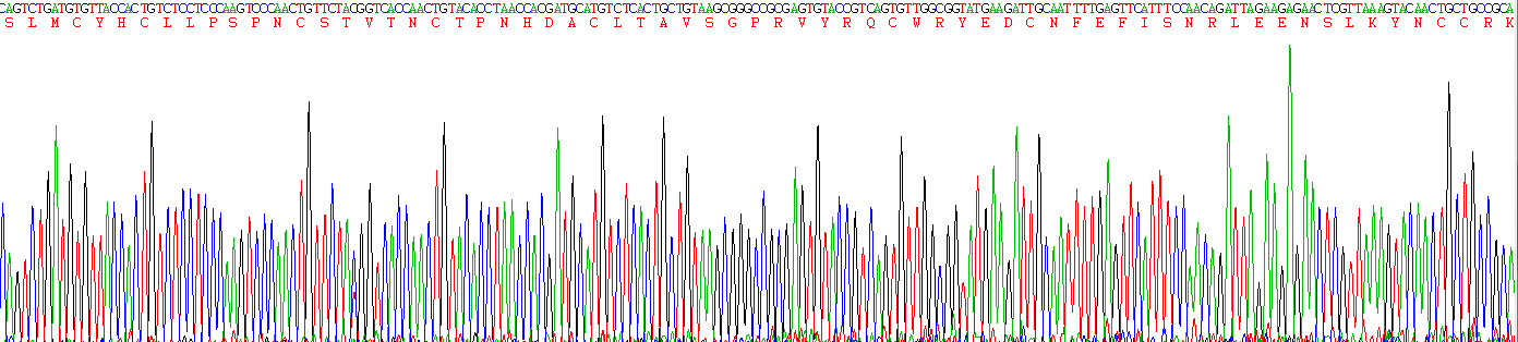 Recombinant Cluster of Differentiation 59 (CD59)