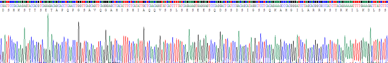 Recombinant Activating Transcription Factor 1 (ATF1)