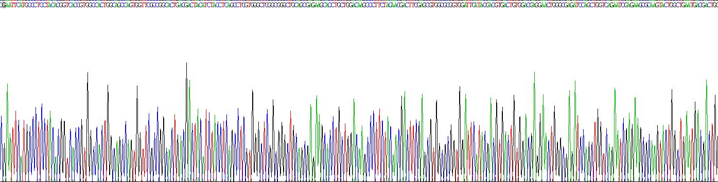 Recombinant 5-Lipoxygenase (5-LO)