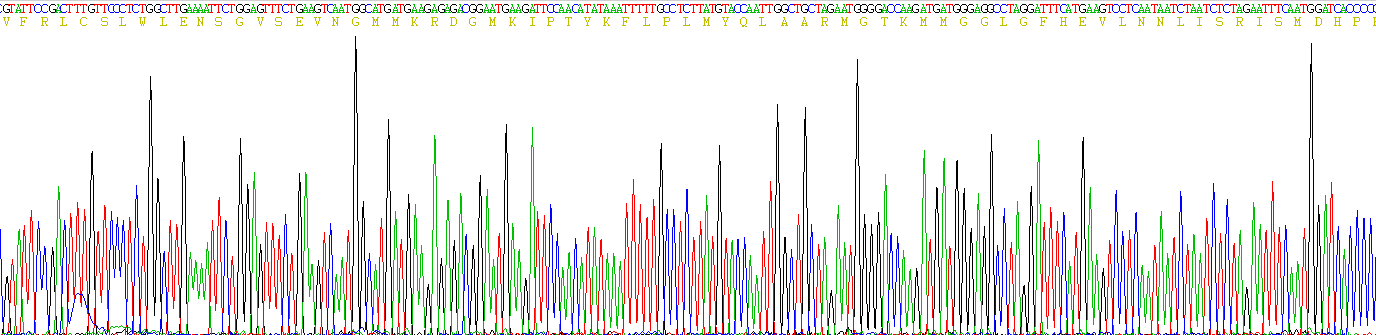 Recombinant Ataxia Telangiectasia Mutated (ATM)