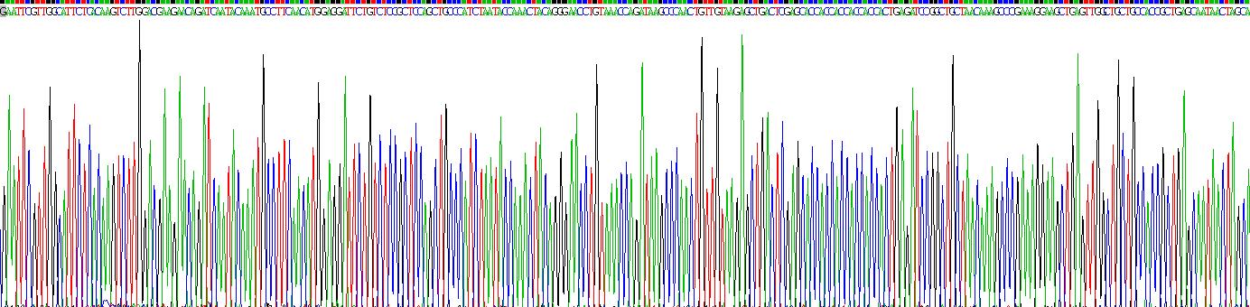 Recombinant Defensin Beta 1 (DEFb1)