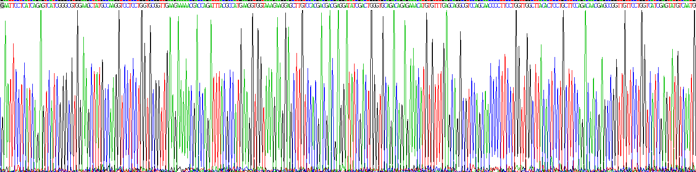 Recombinant Protein Kinase C Zeta (PKCz)