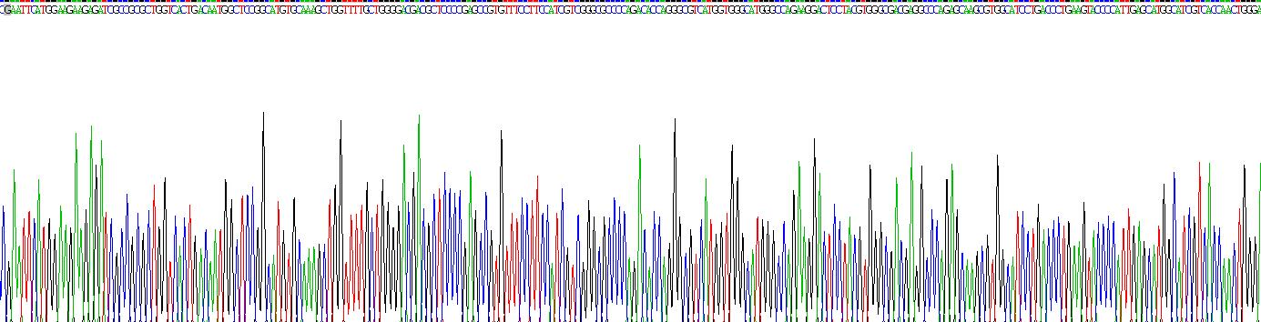 Recombinant Gamma Actin (ACTG)