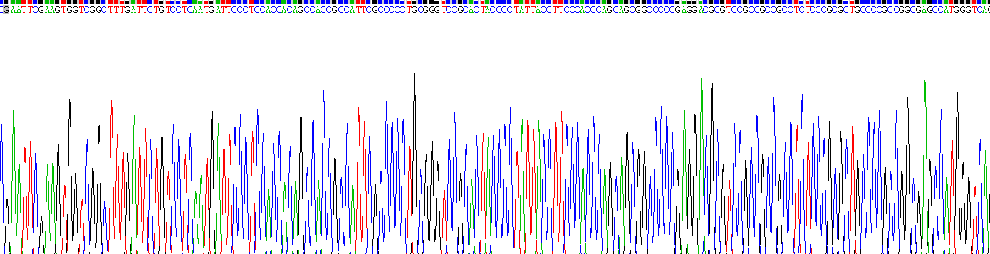 Recombinant Protease, Serine 12 (PRSS12)