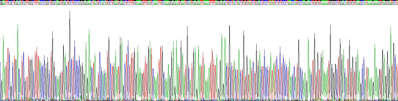 Recombinant Adenylate Cyclase 2, Brain (ADCY2)