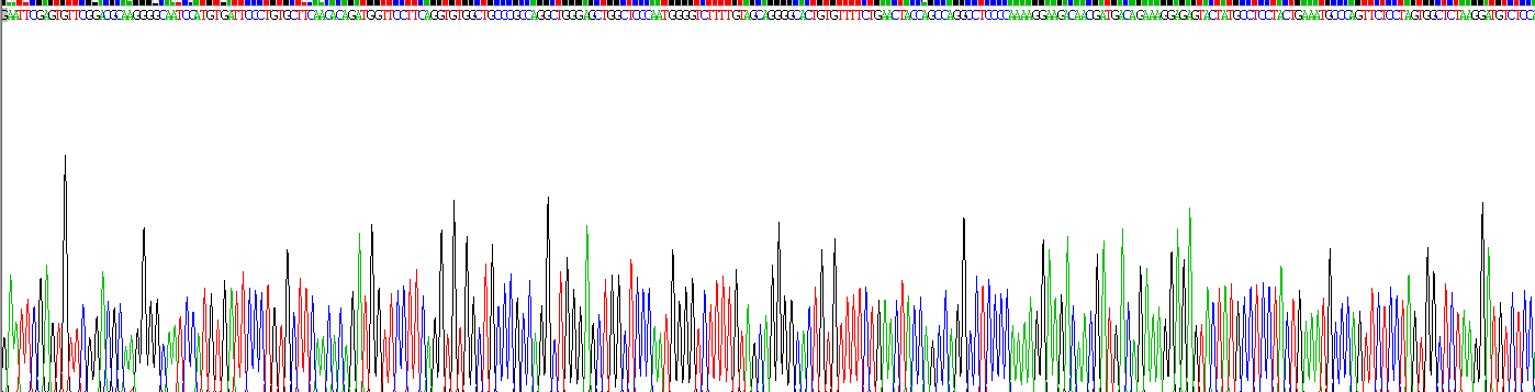 Recombinant Complement Component 1, Q Receptor (C1qR1)