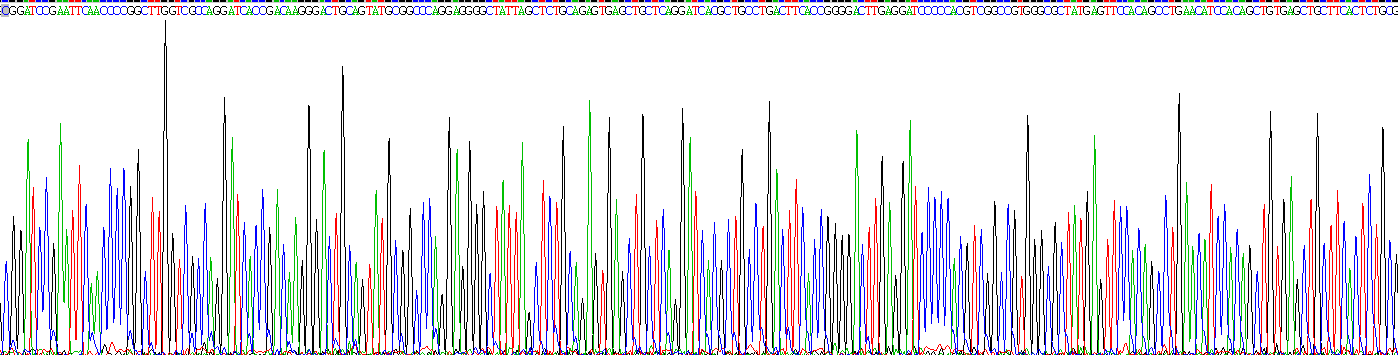 Recombinant Lipopolysaccharide Binding Protein (LBP)