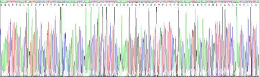 Recombinant Killer Cell Lectin Like Receptor Subfamily D, Member 1 (KLRD1)