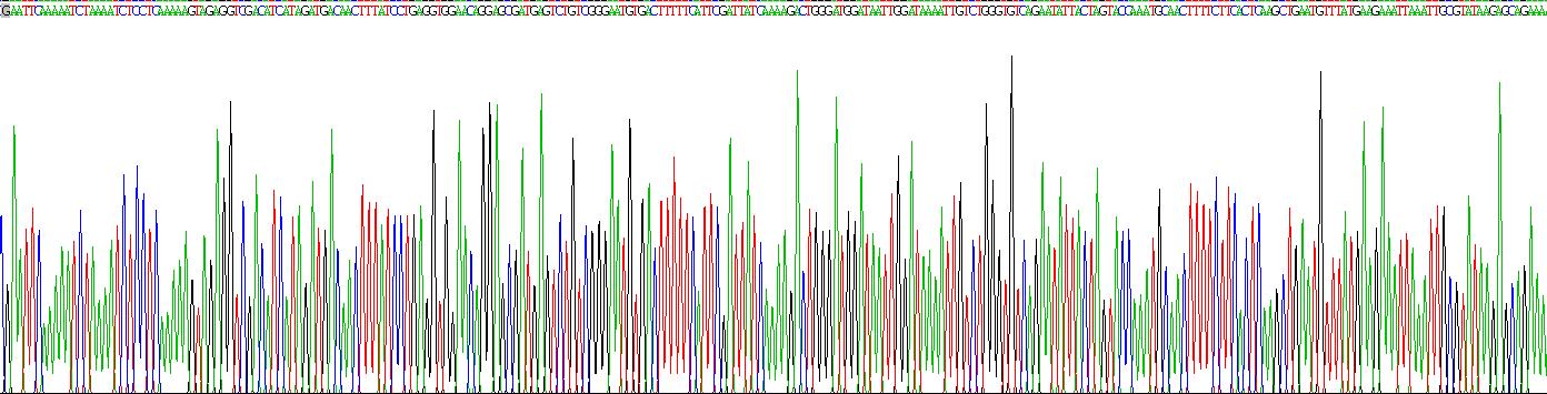 Recombinant Interferon Alpha/Beta Receptor 1 (IFNa/bR1)