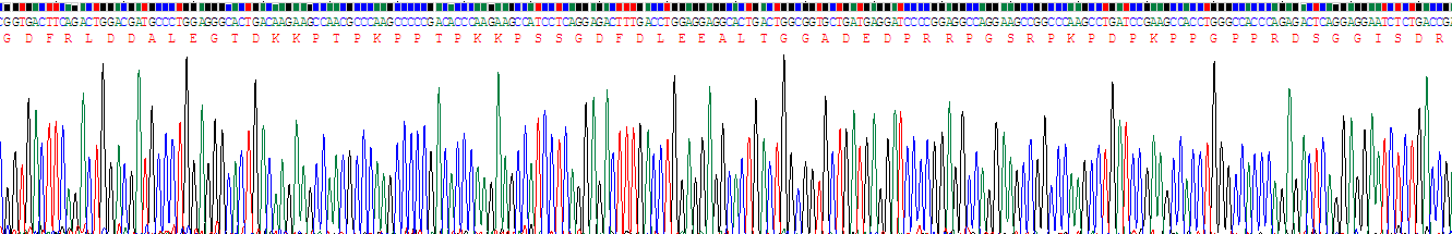 Recombinant Cluster Of Differentiation 99 (CD99)