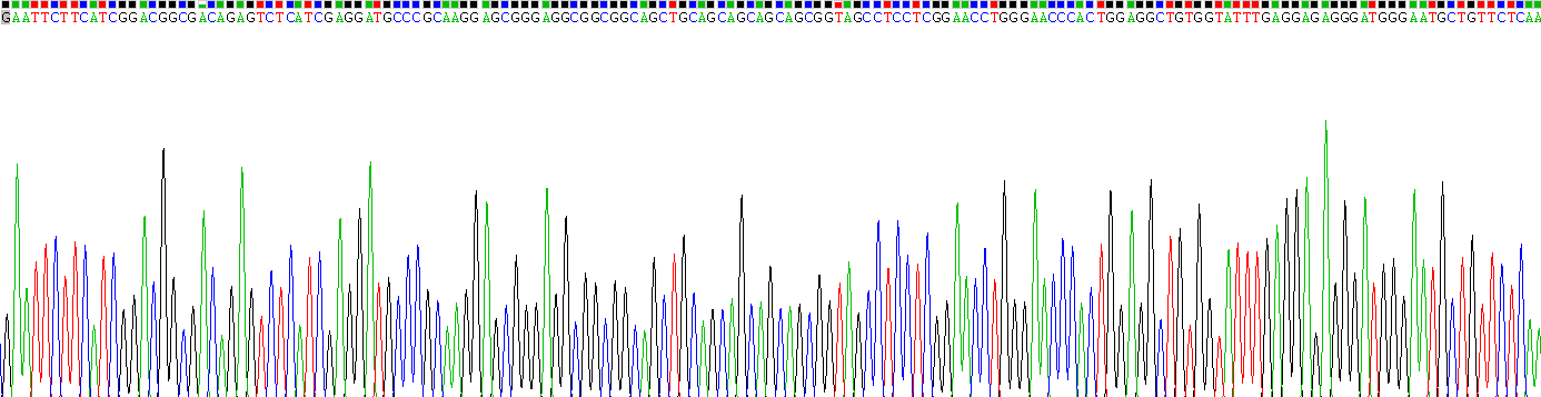 Recombinant Tyrosine Hydroxylase (TH)