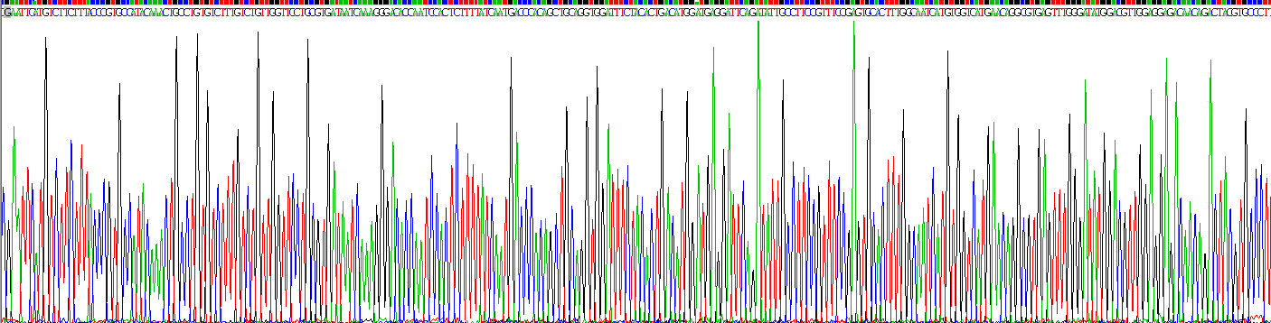 Recombinant Placental Protein 13 (PP13)