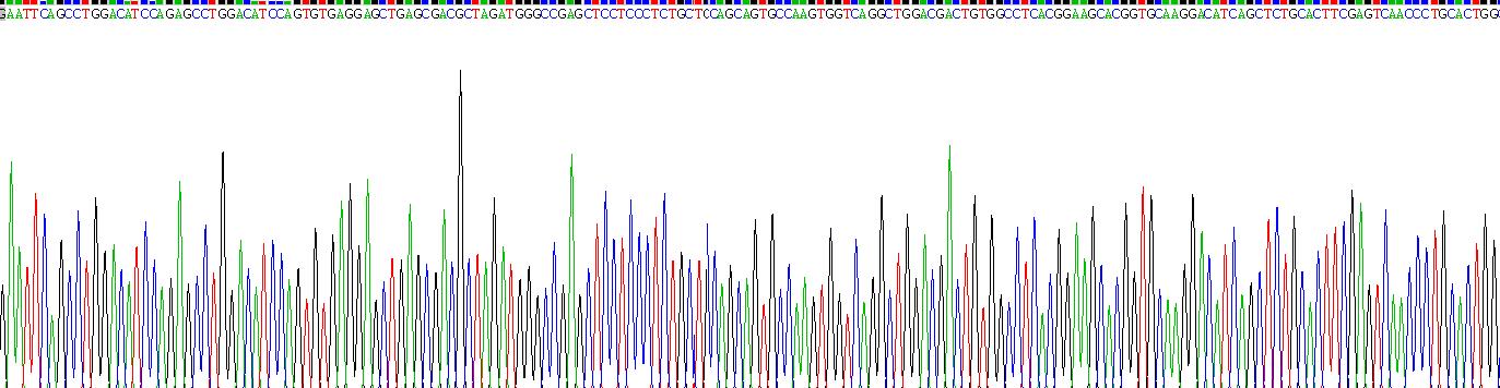 Recombinant Ribonuclease Inhibitor (RI)