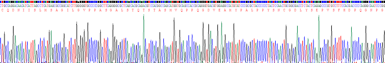 Recombinant Early Growth Response Protein 3 (EGR3)