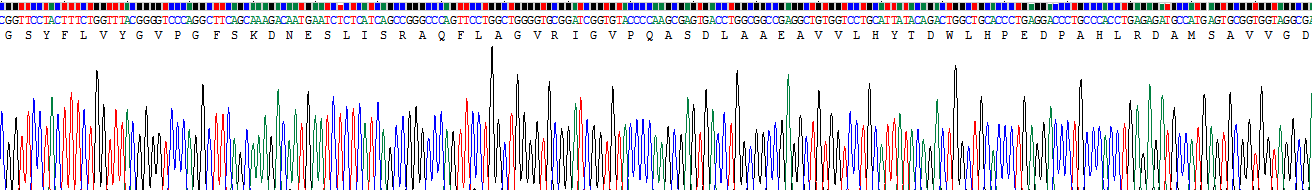 Recombinant Acetylcholinesterase (ACHE)