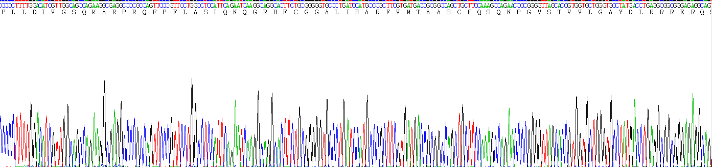 Recombinant Azurocidin (AZU)