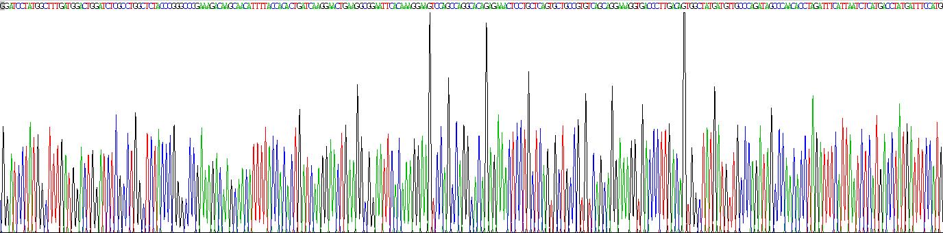 Recombinant Chitinase-3-like Protein 1 (CHI3L1)