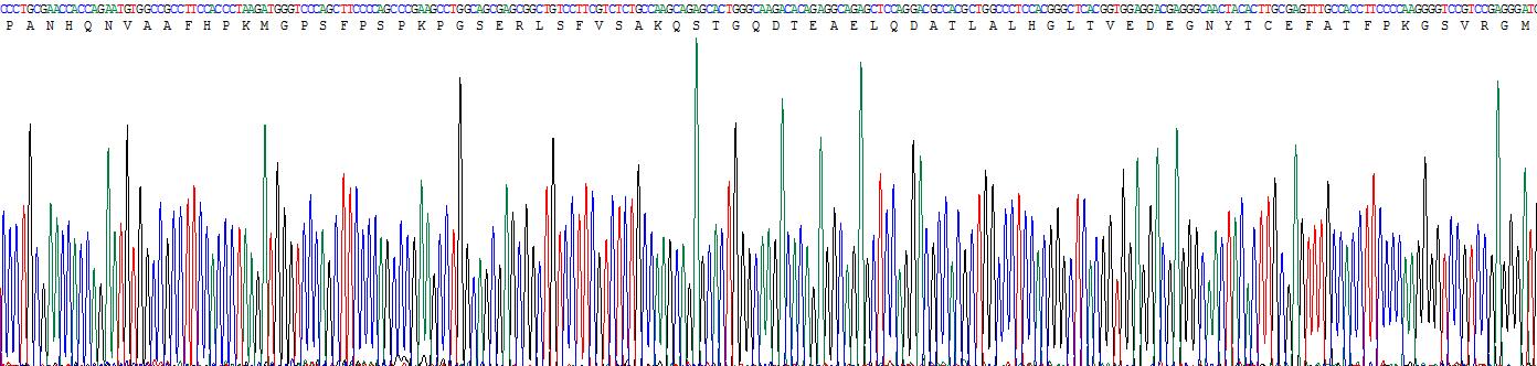 Recombinant Nectin 2 (NECTIN2)