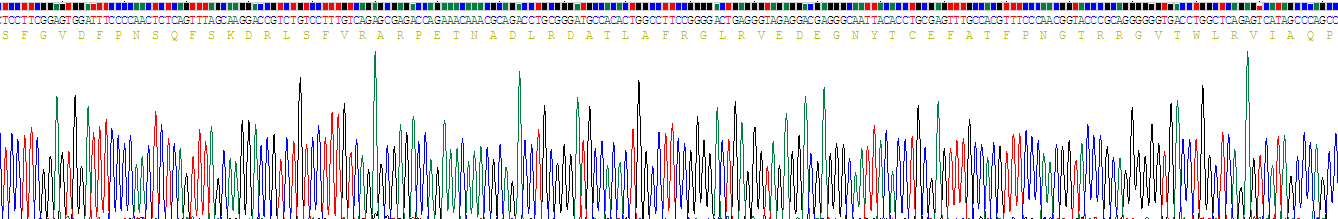 Recombinant Nectin 2 (NECTIN2)