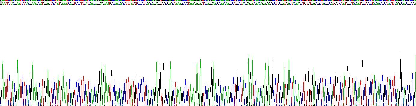 Recombinant Matrix Gla Protein (MGP)