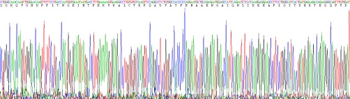 Recombinant Mannose Binding Lectin (MBL)