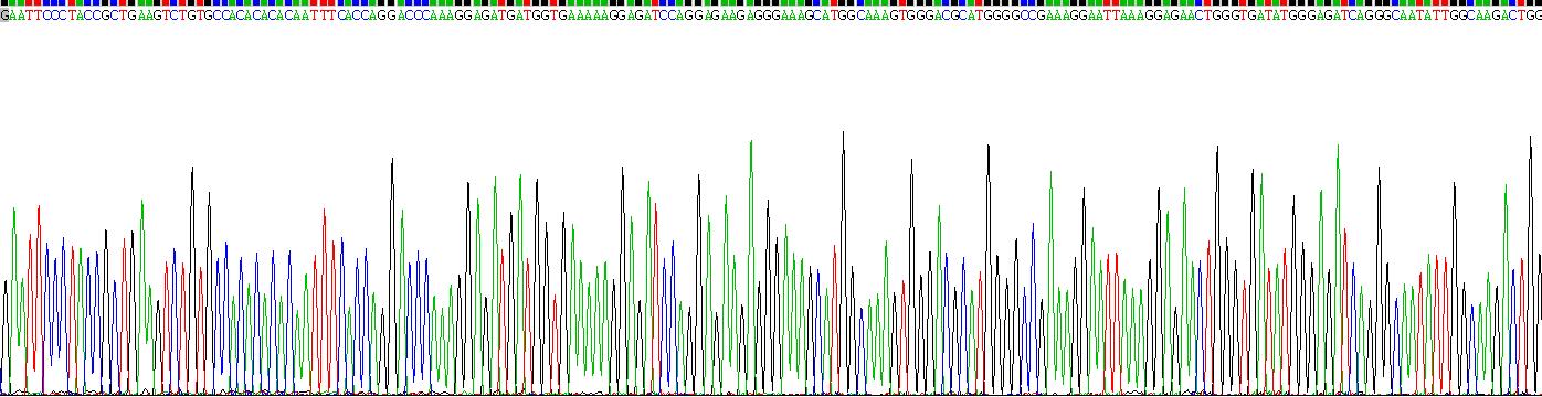 Recombinant Collectin Liver 1 (CLL1)