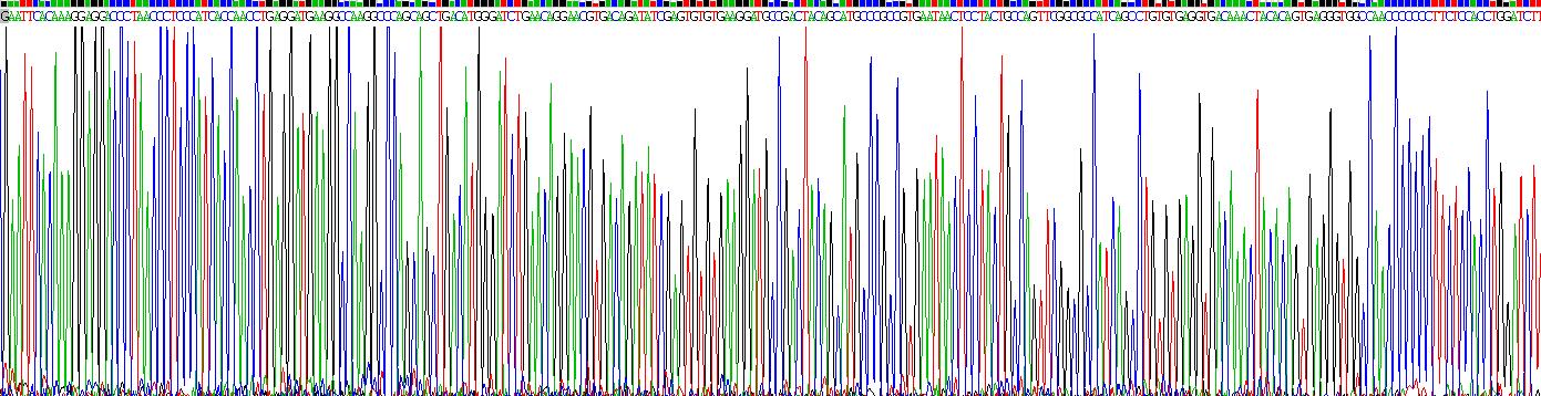 Recombinant Interleukin 3 Receptor Alpha (IL3Ra)