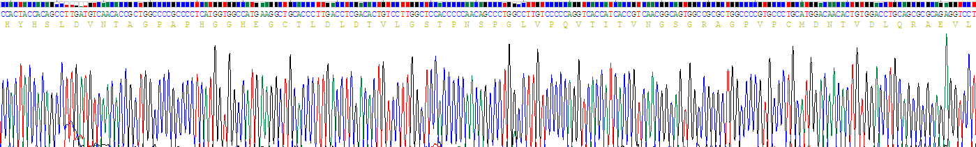 Recombinant Interleukin 3 Receptor Alpha (IL3Ra)