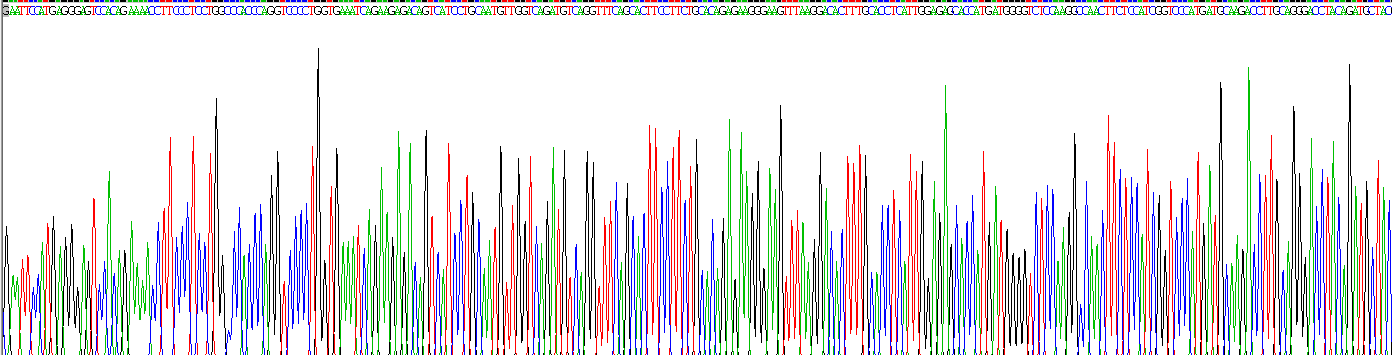 Recombinant Killer Cell Immunoglobulin Like Receptor 2DL1 (KIR2DL1)