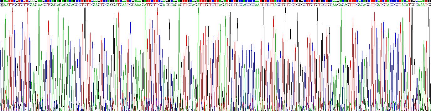 Recombinant Interleukin 1 Receptor Associated Kinase 2 (IRAK2)