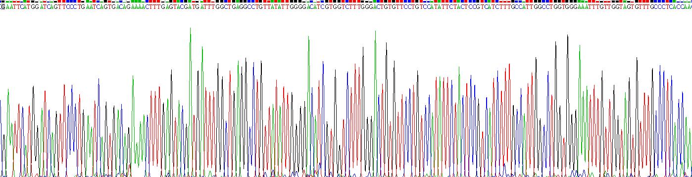 Recombinant Chemokine C-X3-C-Motif Receptor 1 (CX3CR1)