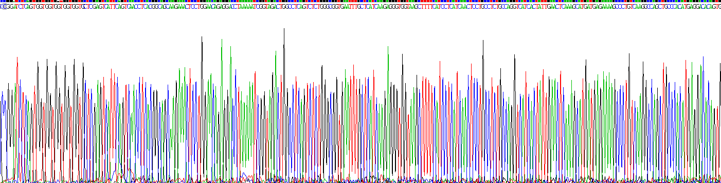 Recombinant Neuronal Apoptosis Inhibitory Protein (NAIP)