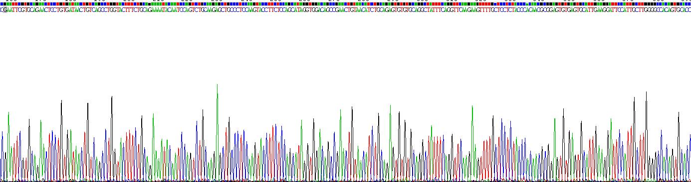 Recombinant Tumor Necrosis Factor Receptor Superfamily, Member 9 (TNFRSF9)