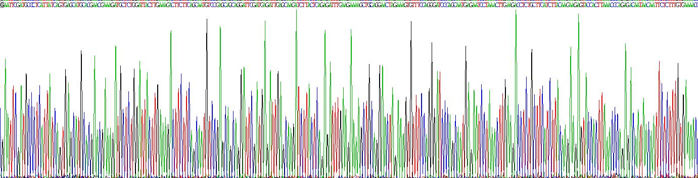 Recombinant Probable ATP-dependent RNA Helicase DDX58 (DDX58)