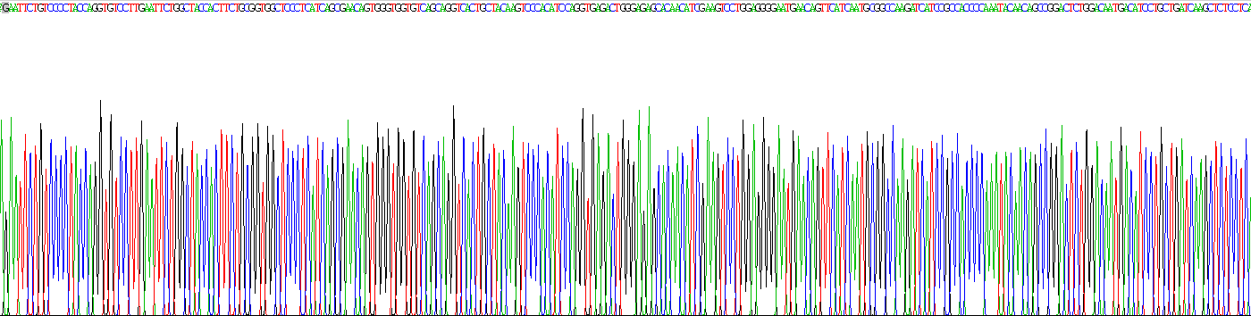 Recombinant Protease, Serine 2 (PRSS2)