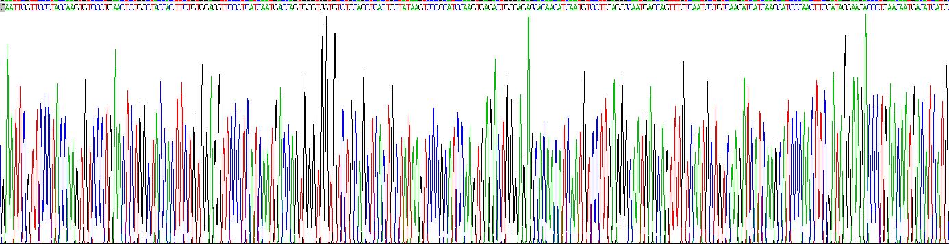 Recombinant Protease, Serine 2 (PRSS2)