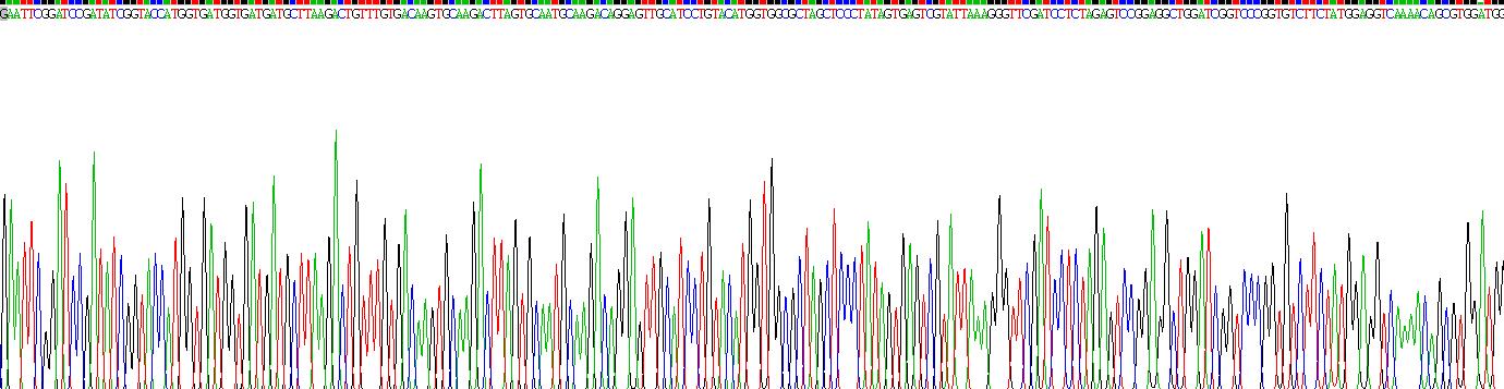 Recombinant Cluster Of Differentiation 147 (CD147)