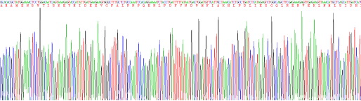 Recombinant Indoleamine-2,3-Dioxygenase (IDO)