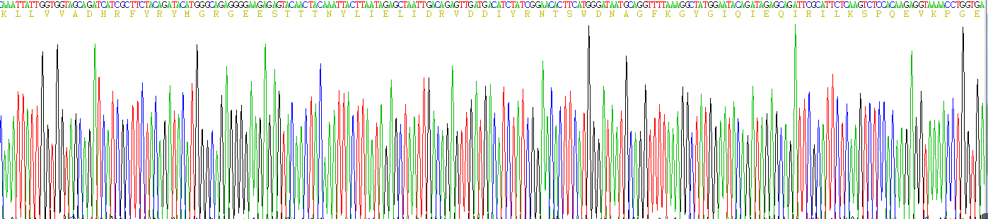 Recombinant A Disintegrin And Metalloprotease 17 (ADAM17)