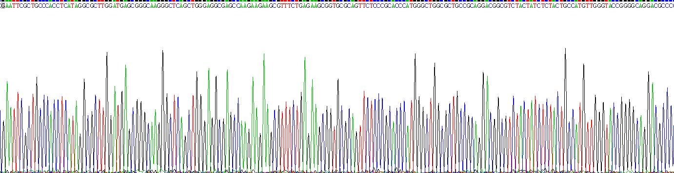 Recombinant Lymphotoxin Beta (LTb)