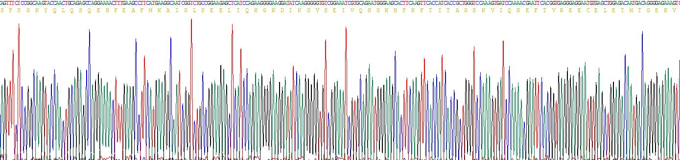 Recombinant Fatty Acid Binding Protein 1 (FABP1)