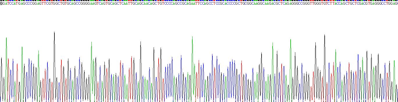 Recombinant Intercellular Adhesion Molecule 4 (ICAM4)