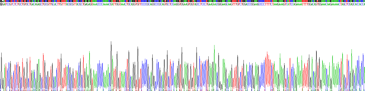 Recombinant Granulocyte Chemotactic Protein 2 (GCP2)