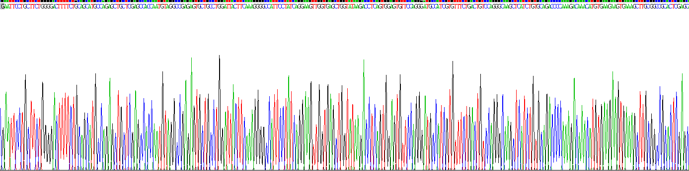 Recombinant Thymus Activation Regulated Chemokine (TARC)