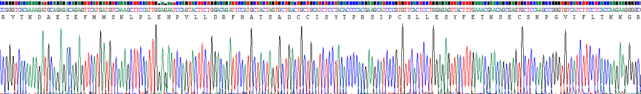 Recombinant Myeloid Progenitor Inhibitory Factor 1 (MPIF1)