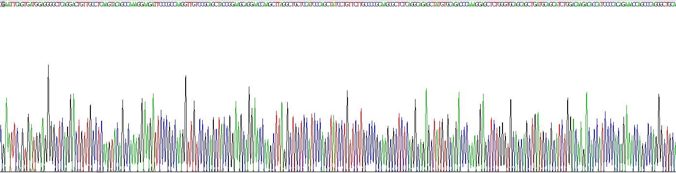 Recombinant Secondary Lymphoid Tissue Chemokine (SLC)