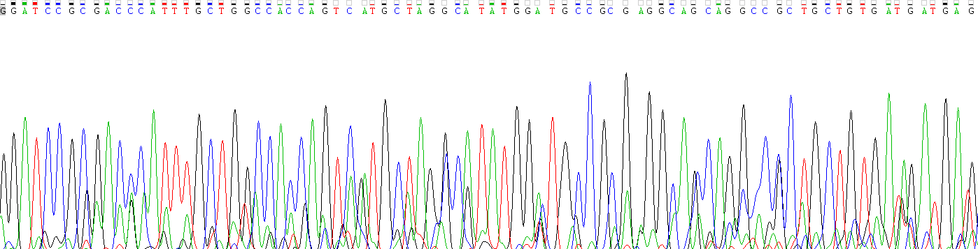 Recombinant Cluster Of Differentiation 64 (CD64)